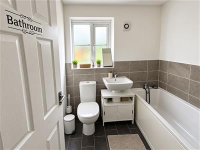 Picture 16
